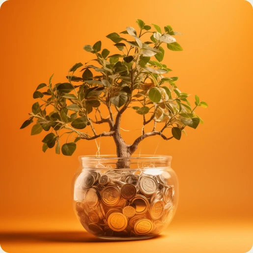 Geldbaum vor orangem Hintergrund.